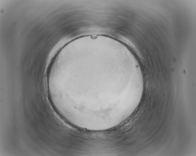 X0000078291472200611251431