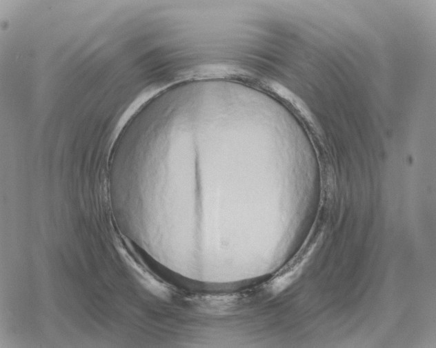 X0000078291473200611251431