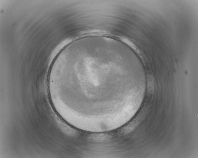 X0000078291474200611251431