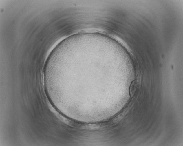 X0000078291476200611251431