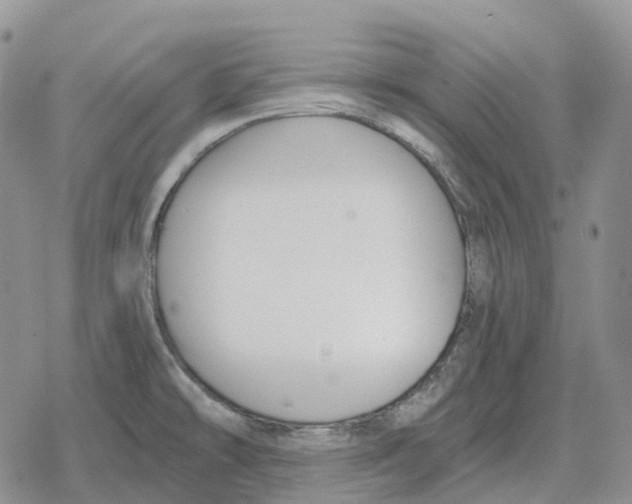 X0000078291478200611251431