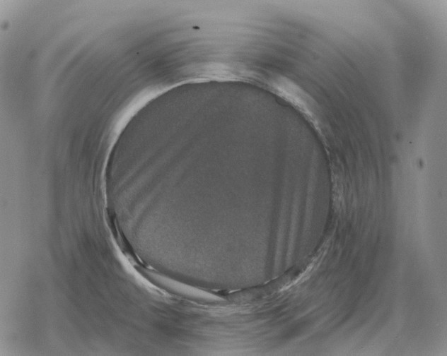 X0000078291479200611251431