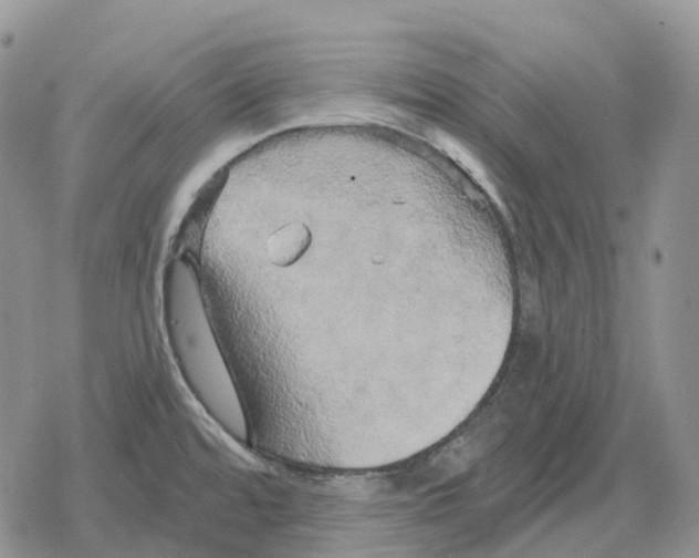 X0000078291480200611251431