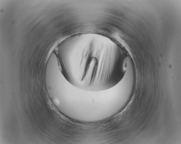 X0000078291481200611251431