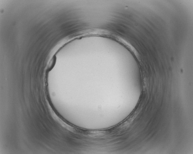 X0000078291483200611251431