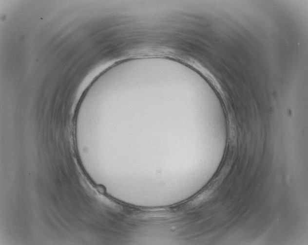 X0000078291486200611251431