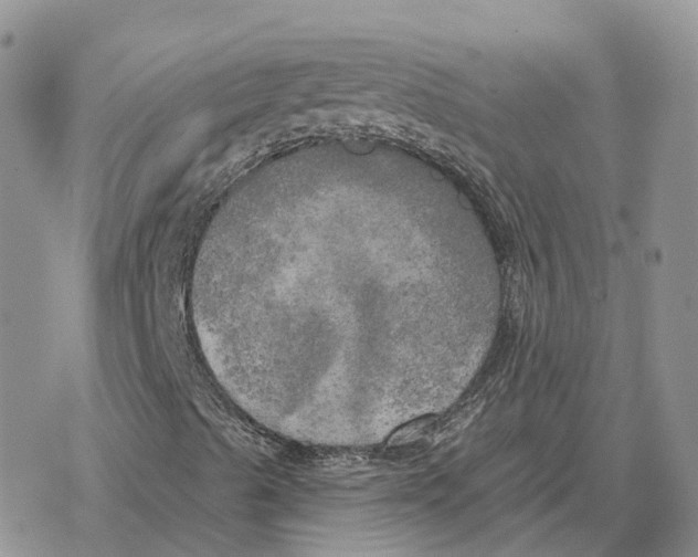 X0000078291489200611251430