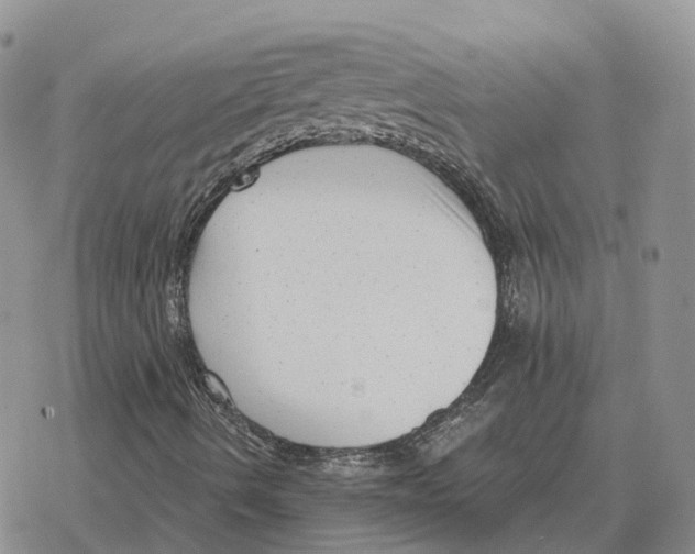 X0000078291490200611251430