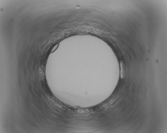 X0000078291491200611251430