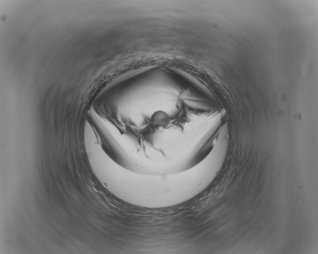 X0000078291492200611251430