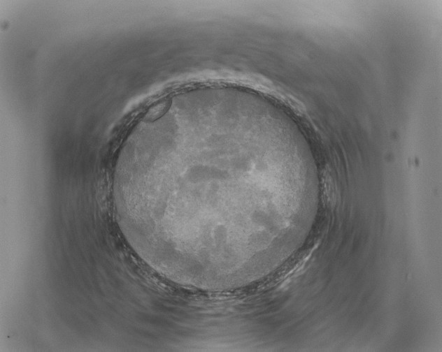 X0000078291494200611251430