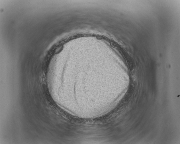 X0000078291495200611251430