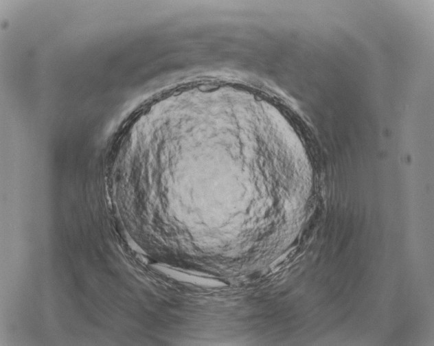 X0000078291496200611251430