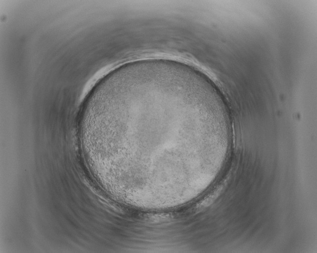 X0000078291501200611251430