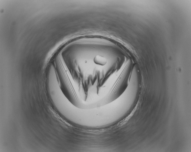 X0000078291502200611251430