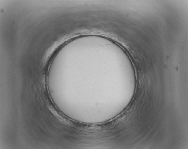 X0000078291503200611251430