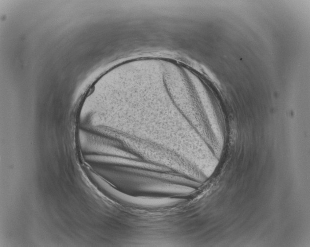 X0000078291504200611251430