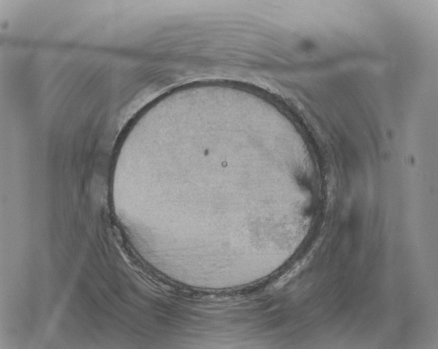 X0000078291505200611251430