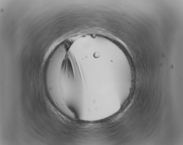 X0000078291506200611251430