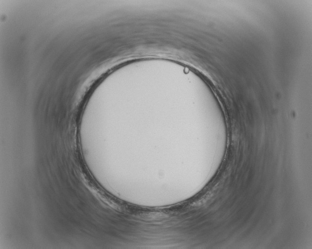 X0000078291507200611251430