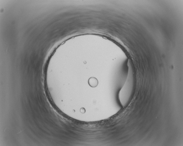 X0000078291508200611251430