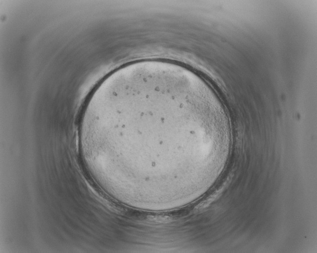 X0000078291509200611251430