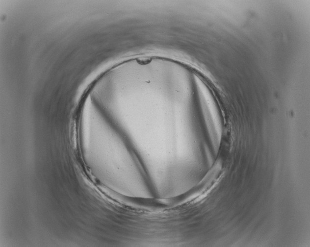 X0000078291510200611251430