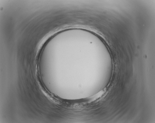 X0000078291511200611251430