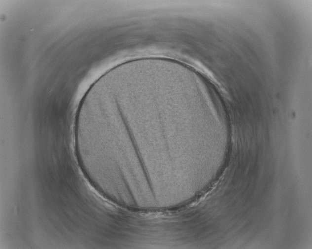 X0000078291512200611251430