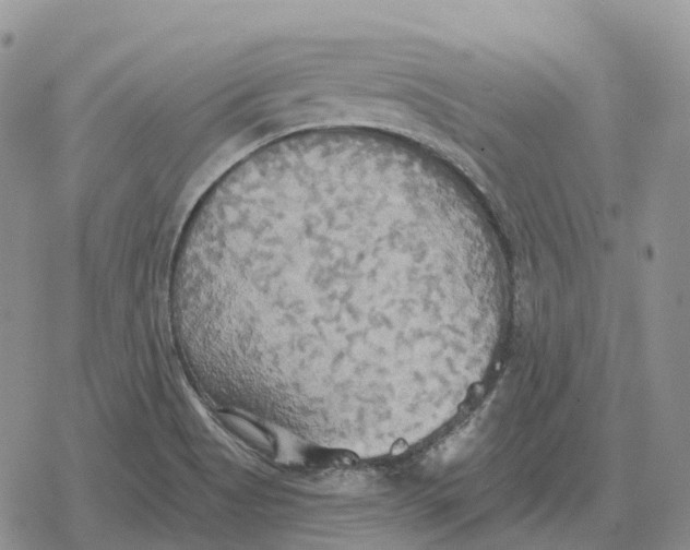 X0000078291513200611251430