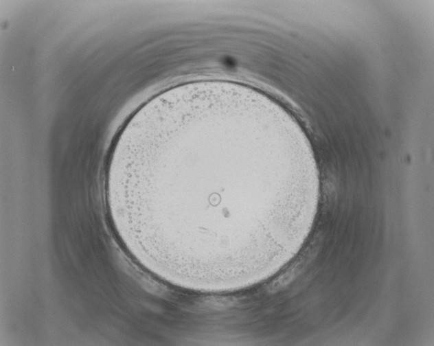 X0000078291514200611251430