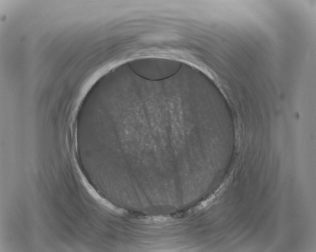 X0000078291515200611251430