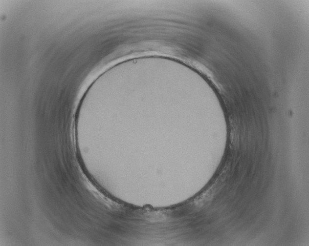 X0000078291516200611251430