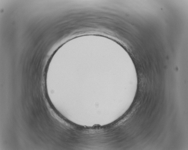 X0000078291518200611251430