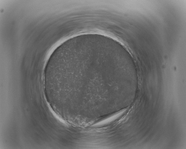 X0000078291519200611251430