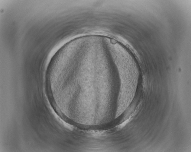 X0000078291520200611251430