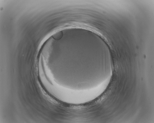 X0000078291522200611251430