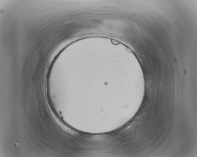 X0000078291523200611251430