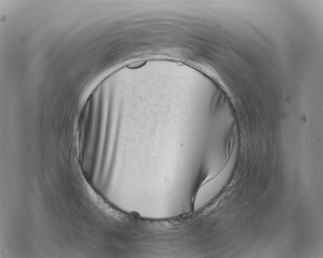 X0000078291524200611251430