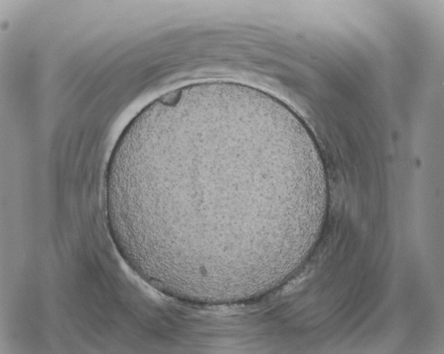 X0000078291527200611251430