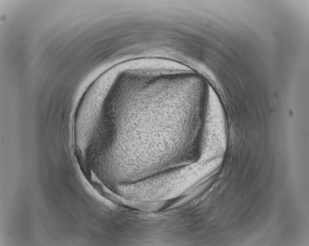 X0000078291528200611251430