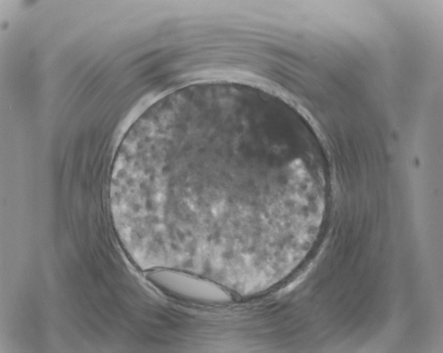 X0000078291529200611251430