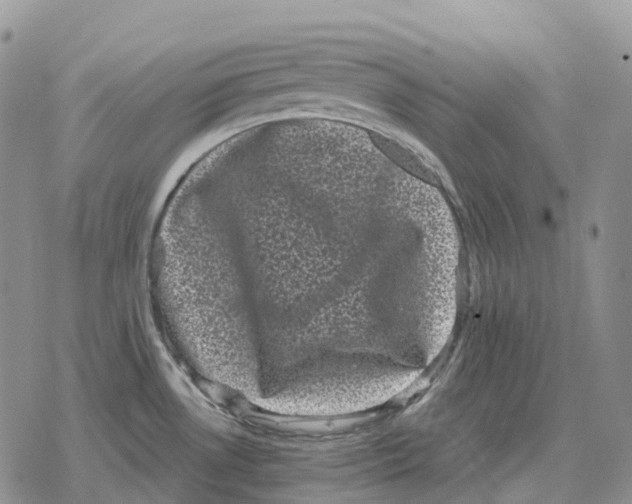 X0000078291530200611251430