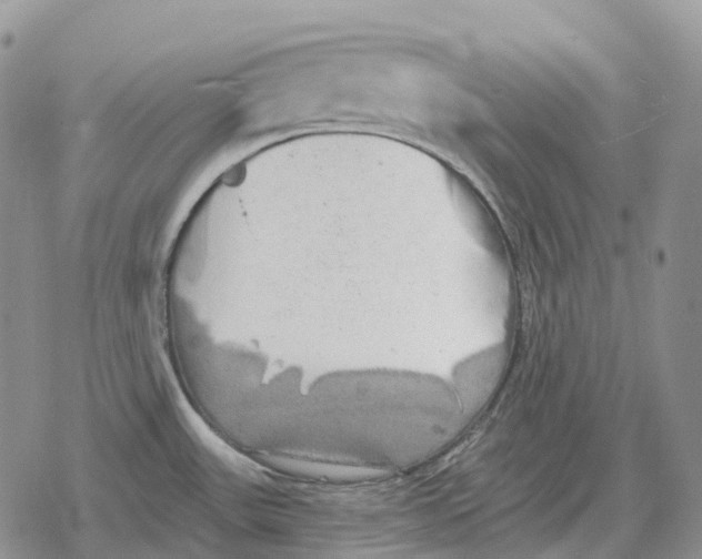 X0000078291531200611251430