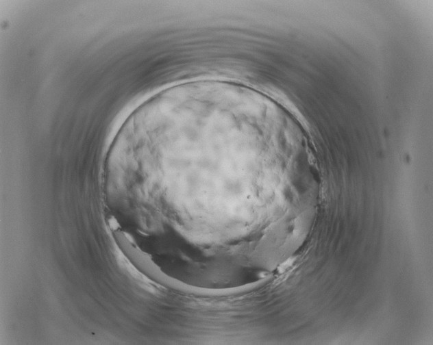 X0000078291532200611251430