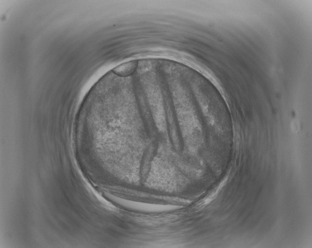 X0000078291533200611251430