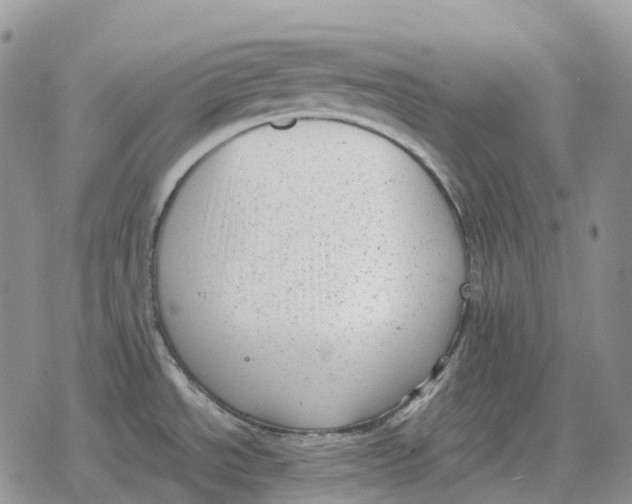 X0000078291534200611251430