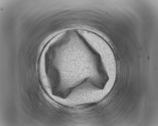 X0000078291535200611251430