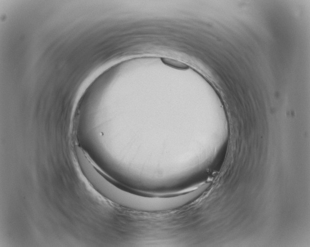 X0000078291536200611251430