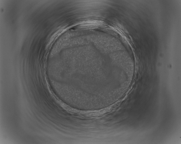 X0000078290001200612011821